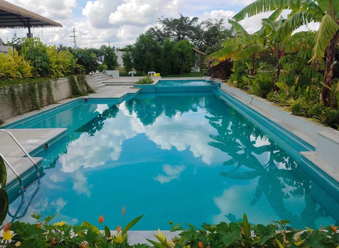 Natural Resort Style Bio Pool