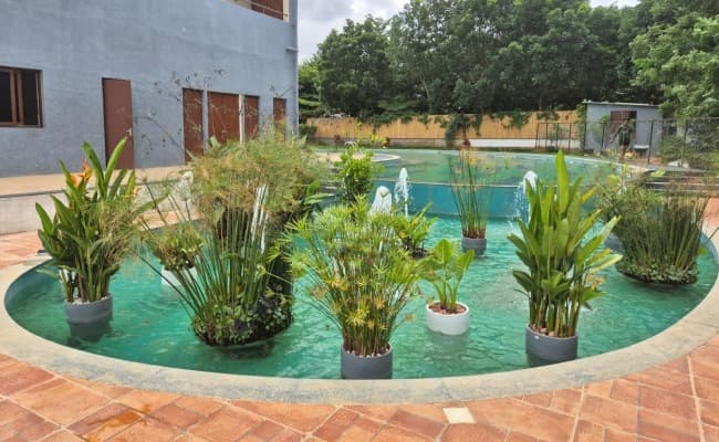 Bio Pools and Water Bodies