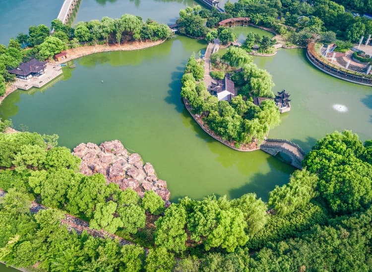 All Types of Terrain